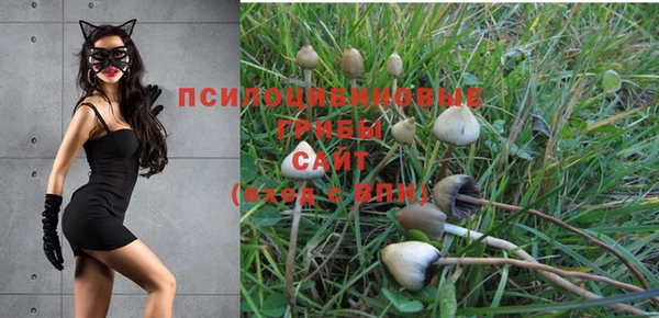 не бодяженный Киреевск