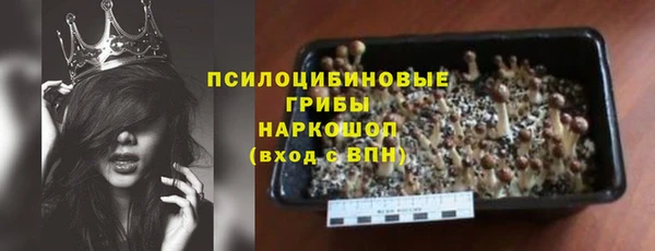 apvp Кодинск