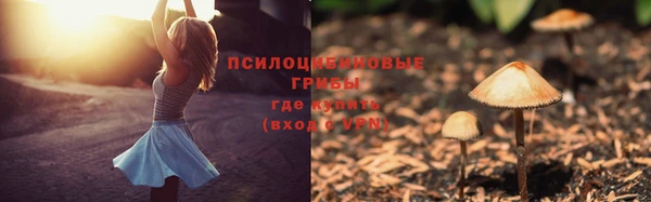 скорость mdpv Козловка
