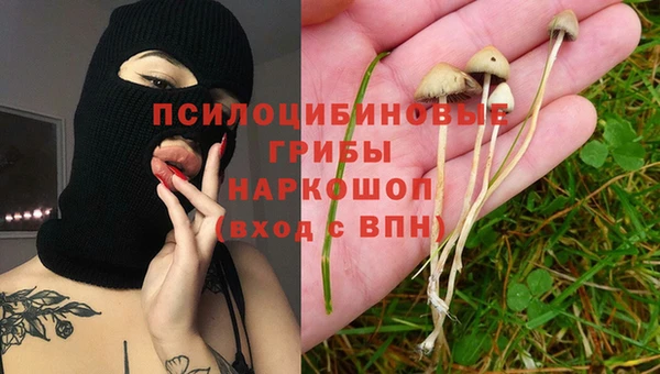 apvp Кодинск