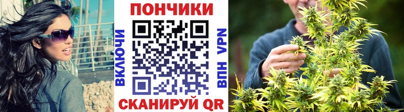 Бошки марихуана индика  Кириши 